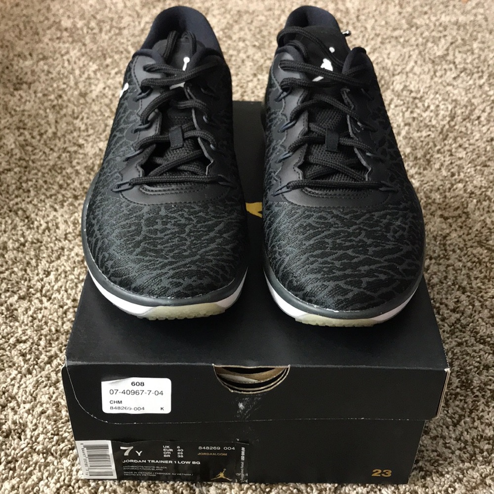 Air Jordan Trainer 1 Low BG